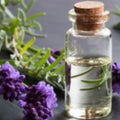 Pure Lavender Essential Oil