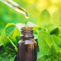 Pure Peppermint Essential Oil