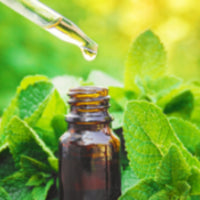 Pure Peppermint Essential Oil