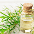 Pure Tea Tree Essential Oil