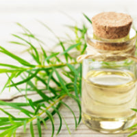 Pure Tea Tree Essential Oil