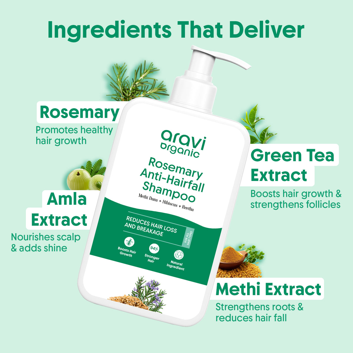 Rosemary Shampoo & Conditioner Combo for Anti Hair Fall & Healthy Hair Growth Each