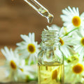 CHAMOMILE EXTRACT