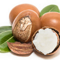 SHEA BUTTER