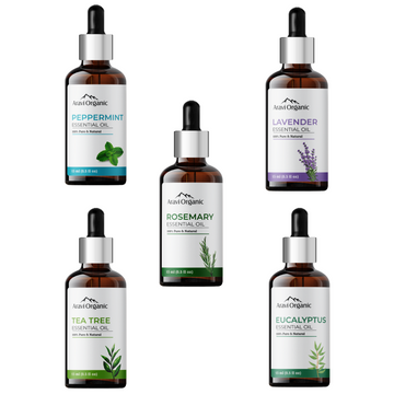 Tea Tree, Lavender, Rosemary, Peppermint and Eucalyptus Essential Oil Combo Pack (15 ml each)